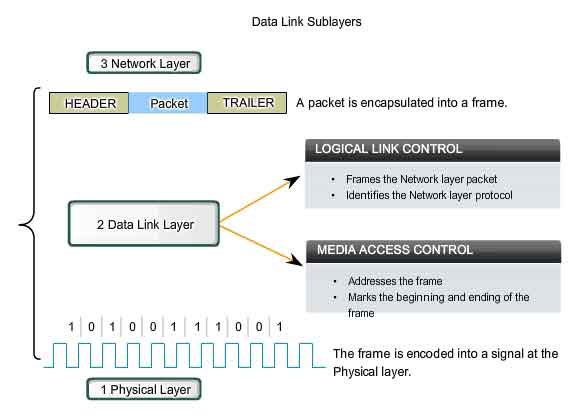 data link sublayer LLC logical link control MAC media access control