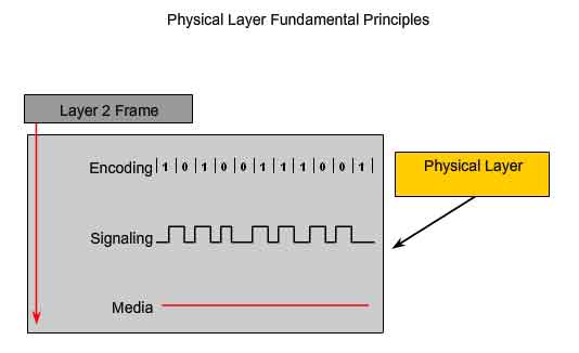 principi fondamentali del livello physical