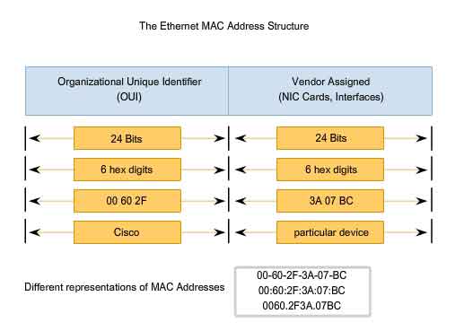 network mac address multiple network mac address multiple
