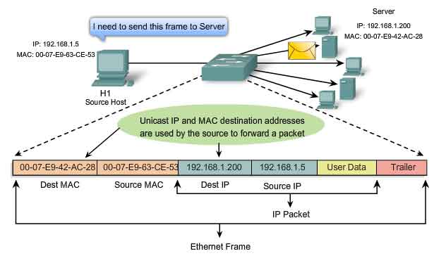 frame ethernet dest source MAC