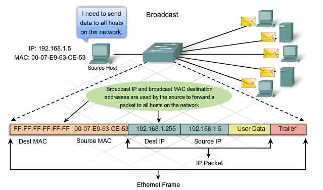 frame ethernet dest MAC broadcast