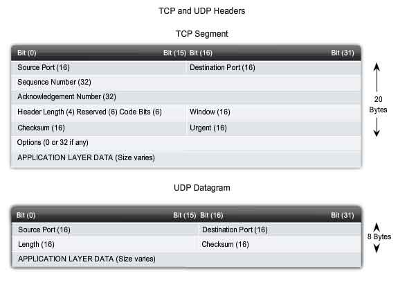 testata segmento TCP e datagramma UDP