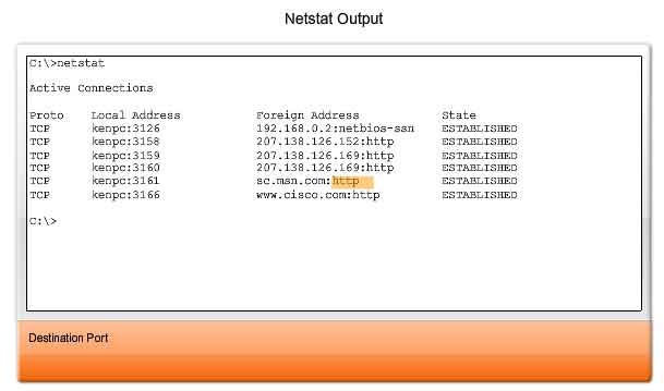 netstat output