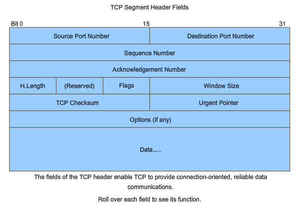 TCP segment header fields
