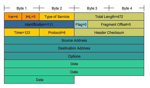 network layer field