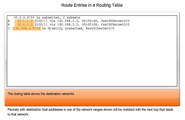 route entries in a routing table